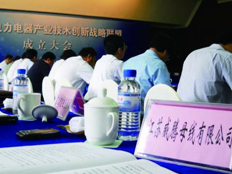 9888拉斯维加斯官网母线加入江苏省电力电器产业技术创新战略联盟