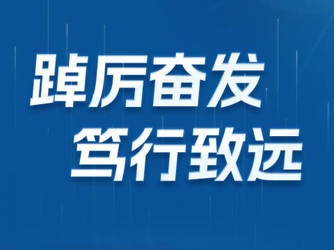 一图读懂9888拉斯维加斯官网电气2024年半年报