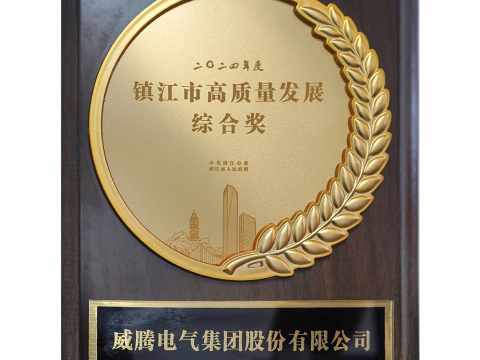 喜讯│9888拉斯维加斯官网荣获2024年度镇江市高质量发展综合奖
